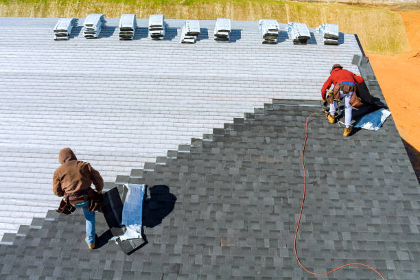 Best Storm Damage Roof Repair  in Clayton, NC