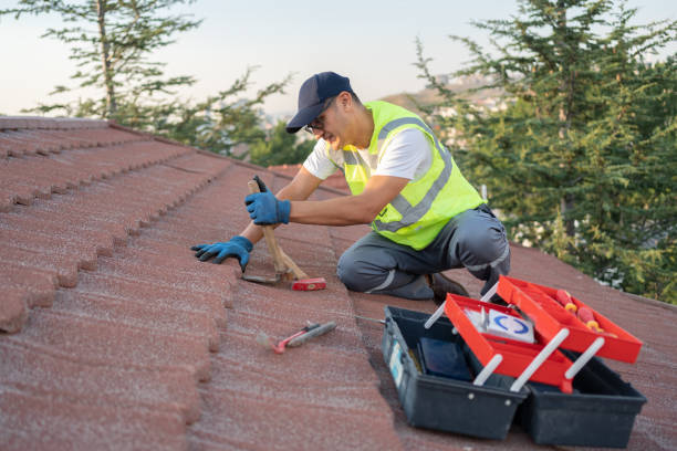 Best Roof Gutter Cleaning  in Clayton, NC